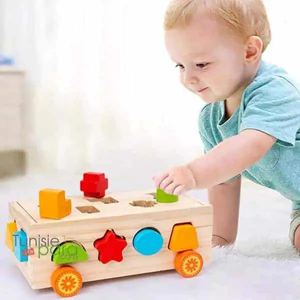 Jouet: Shape matching car et xylophone – Image 3