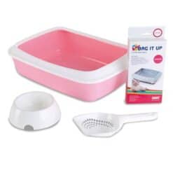 Kit Chaton Rose