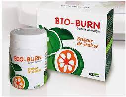 BIOHEALTH BIOBURN BOITE DE 45 GÉLULES